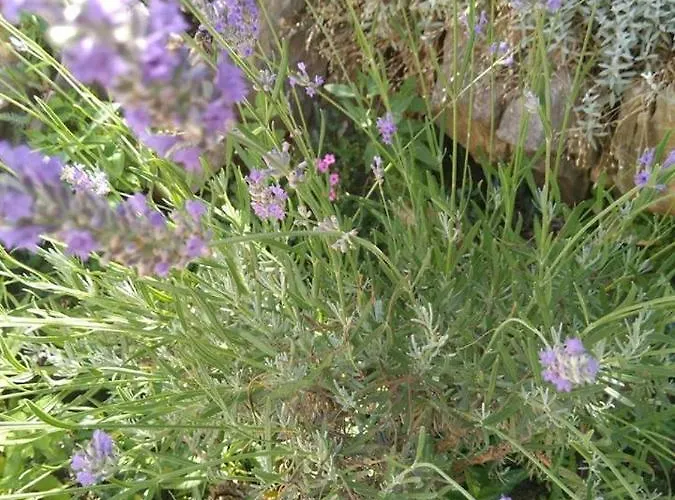 In With Seaview, Terrace, Air Condition, Wifi